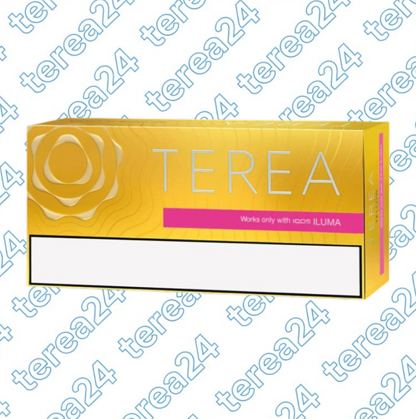 Стики TEREA Yellow Таджикистан для IQOS ILUMA