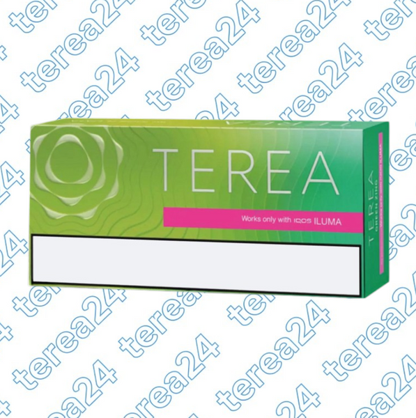 Стики TEREA Zing Wave Узбекистан для IQOS ILUMA