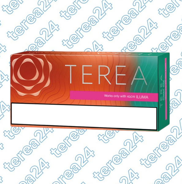 Стики TEREA Summer Wave Узбекистан для IQOS ILUMA